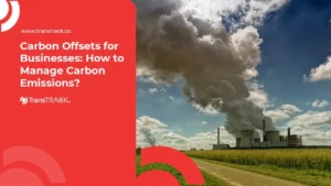 Carbon Offsets